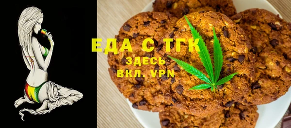 индика Нефтекумск