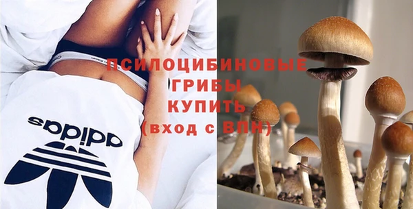 индика Нефтекумск
